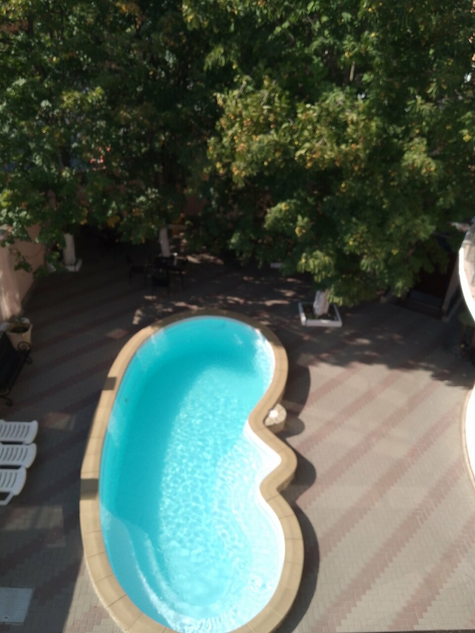 Гостиница Лотос Геленджик-111