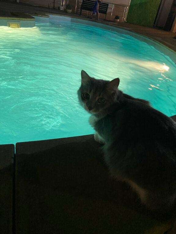 Гостиница Лотос Геленджик-47