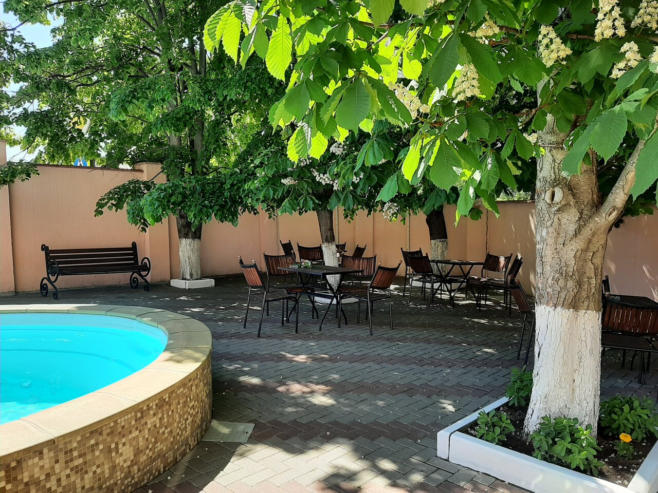 Гостиница Лотос Геленджик-18